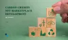 Carbon Credit NFTs - The Next Big Revolution