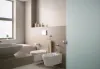 A number of Super Using Of Toilet Seat Bidets 