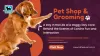 A Day in the Life of a Doggy Day Care: Behind the Scenes of Canine Fun and Interaction – K9 Heaven