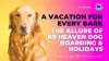 A Vacation for Every Bark: The Allure of K9 Heaven Dog Boarding &amp; Holidays – K9 Heaven