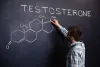 ø Power Up Naturally: The Best Organic Testosterone Supplements | USA 2024 ø