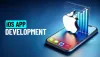 7 Questions to Ask Your iOS App Development Company - Bipko Biz