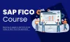 What Can You Do with SAP FICO Training?