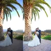 https://prophotoshopexpert.com/best-online-photo-editing-services/