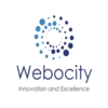 Website Designing Company in Delhi - Webocity Technologies