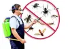  Who is The Best Pest Control Provider in India?