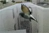 Who is the Best Industrial Bird Control Equipments Provider in India