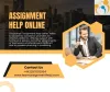 The Power of Collaboration: Team Assignment Help