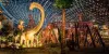 Top Rated Attraction places of UAE - Desert Adventure Group