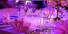 Best Event Management Companies in Dubai and UAE