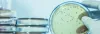 Legionella Laboratory Testing Services | Biosan Laboratories