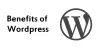 10 Benefits of Utilizing WordPress for Building Business Websites – SoloStream HelpDesk
