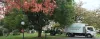 Tree Removal Melbourne, Arborist Melbourne, Stump Removal