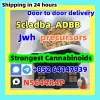 Best CAS: 137350-66-4 5cl-adb-a/5cladba precursor factory supply,telegram:+852 64147939