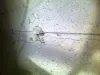 Wet-basement-waterproofing-solutions