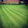 SJ Groundcare - Garden Maintenance Bournemouth, Poole, Christchurch
