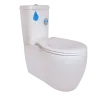Toilet Bowl Singapore, Up to 80% OFF Toilet Bowl Promotion - WasserBath