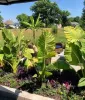 Zionsville Landscaping | Carmel Landscaping | Country Gardens
