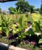 Zionsville Landscaping | Carmel Landscaping | Country Gardens