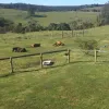 Calm On The Farm - HEAL
