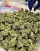 Exotic dispensary For Sale | dispensary For Sale Online | Dispensary Near Me