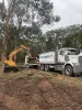 Tree Removal, Stump Grinding, Removal Balnarring Victoria