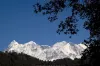 Brahmatal trek Cost, Detailed Itinerary, Best Time to Visit in 2025