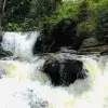 Best Resorts in Sakleshpur