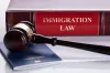 Insights: About Role of Immigration Lawyers in Miami 
