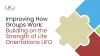 Improving How Groups Work: Building on the Strength of Life Orientations LIFO