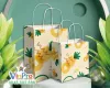 In Túi Giấy Theo Yêu Cầu, Giá Rẻ Tại TPHCM Với Mọi Số Lượng