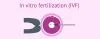IVF cost in Hyderabad