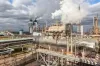 Indian Ammonia Market