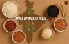 indias-basmati-exports-up-e282b91923-cr-in-fy-2024e2809325-2-1024x655.jpg