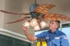 Ceiling Fan Installation Services | Coral Springs