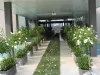 https://inscapeindoorplanthire.wordpress.com/2021/01/25/read-major-aspects-of-indoor-plant-hire/