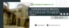 industrial-scrubbers-baddi.webp