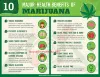 Buy weed online | buy marijuana online | CBD oil in USA -UK-CANNADA