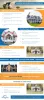 Infographics: Should You Sell Your Home Through a Short Sale?