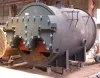 Intech | Three Pass Internal Furnace Packaged Boiler |Thermodyne Boilers