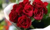 Online Flower Delivery is the Best Option For Gift 
