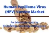  A Complete Study On Inulin Market