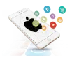 Mobile Application Development Company | Rexcel IT Services