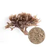 Bulk Organic Irish Moss Powder | Top Organic Irish Moss Powder Suppliers