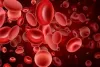 Essential Guidelines on intake of Iron Sucrose