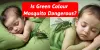 Is Green Colour Mosquito Dangerous?