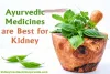 Is Kidney Failure Ayurvedic Treatment Best for Kidney Patients?