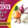 Is Onion Good or Bad for Kidney?