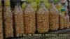 Important guidelines to start peanut business