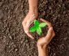 ISO 14001 certification in Egypt, ISO 14001 consultants in Egypt, Cairo